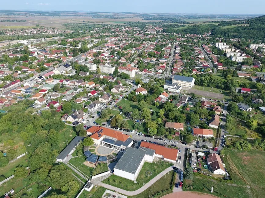 Asociațiile de proprietari din Pitești cer intervenția primăriei pe problema câinilor comunitari