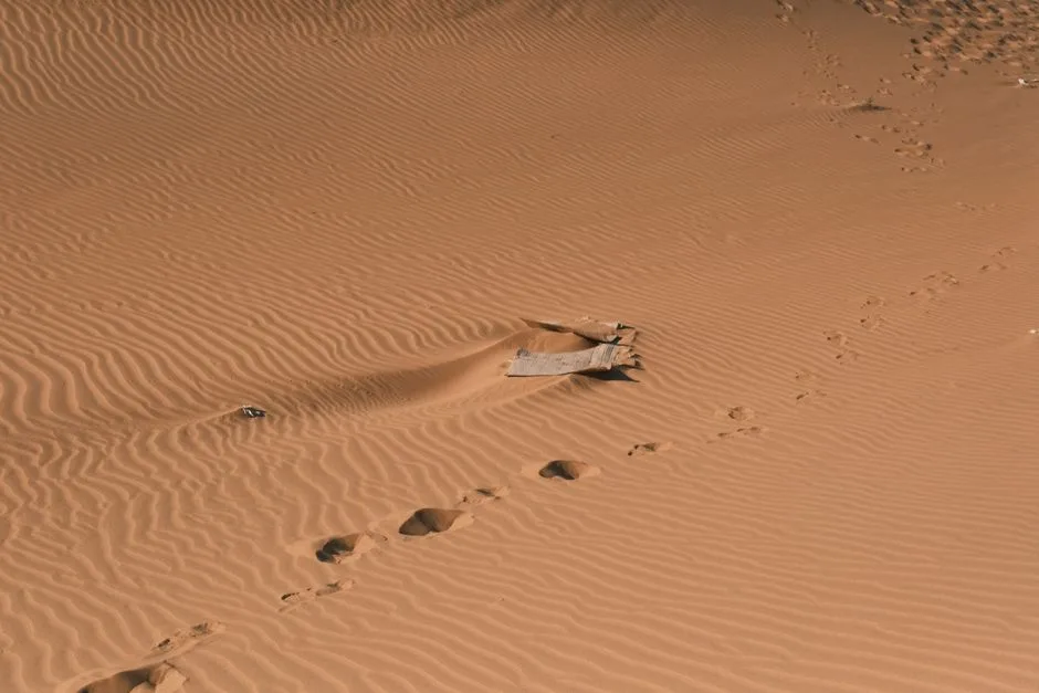 Tragedie în Deșertul Sahara: 49 de vieți pierdute din cauza setei, doi supraviețuitori reușesc să scape