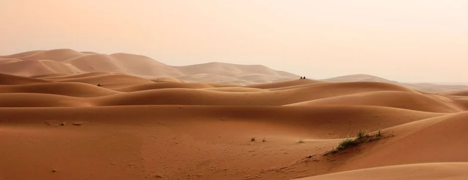 Tragedie în Sahara: Aproape 50 de victime din cauza sete