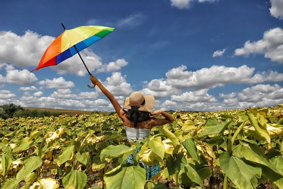 Canicula lovește România: Temperaturile depășesc 36 de grade Celsius în prima etapă de vară