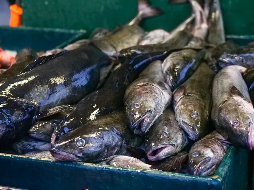 România sub asediul căldurii: Cod roșu de caniculă în 2026