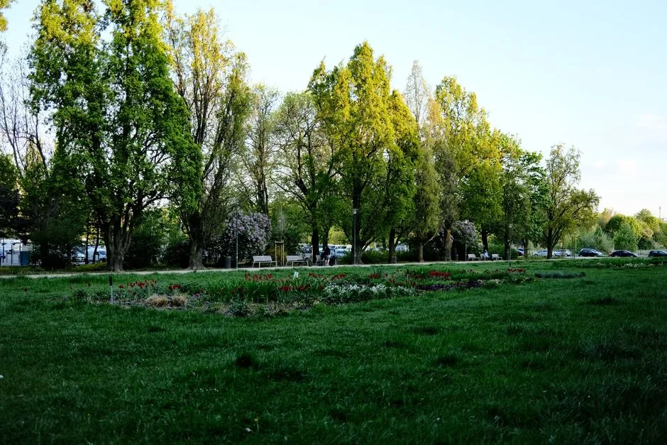 Parcul „Donald Trump” din Sectorul 4: O viziune inovatoare cu influențe din NASA și Hollywood