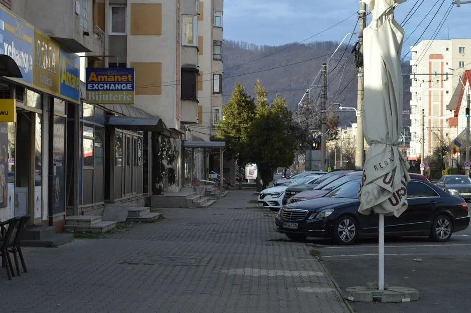 Descoperire surprinzătoare în Dâmbovița: 8 tone de varză murată îngropate în pământ