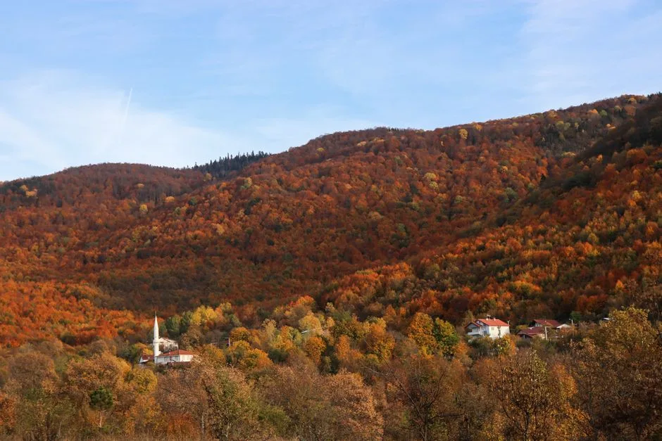 Toamna colorată a roșiilor: Deliciile din Piața Obor care atrag toți gurmanzii