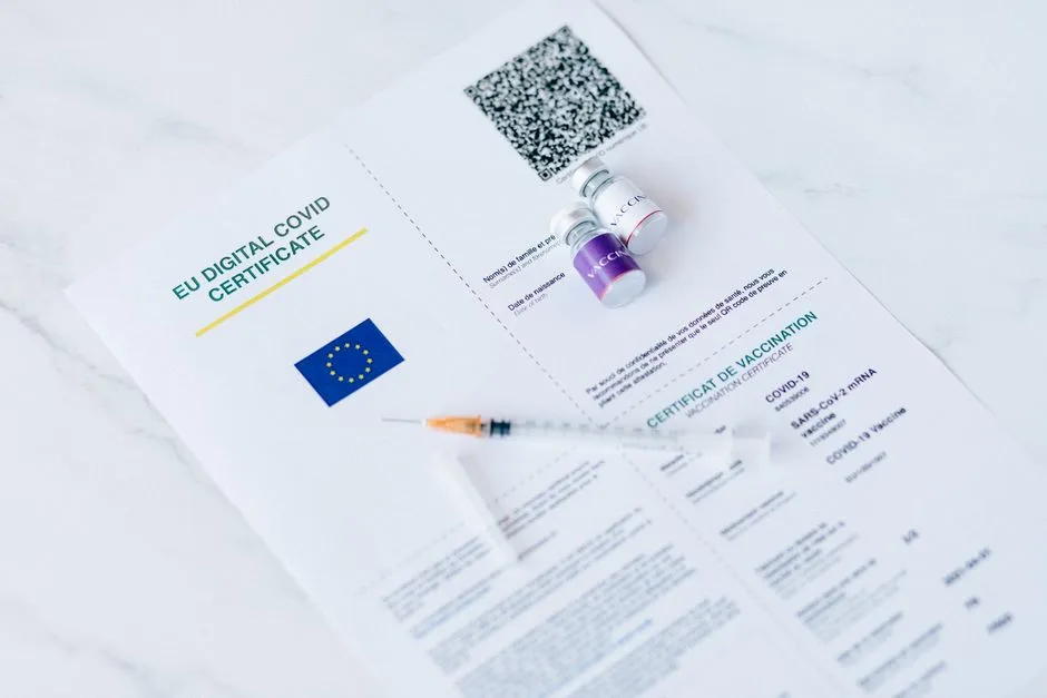 Guvernul a autorizat ocuparea posturilor vacante în companiile energetice de stat din România