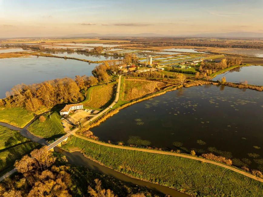 Strategia de biodiversitate: Ministerul Mediului răspunde acuzațiilor AUR