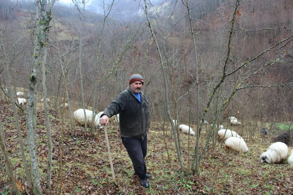 Păstorul agriculturii argeșene se confruntă cu criza motorinei