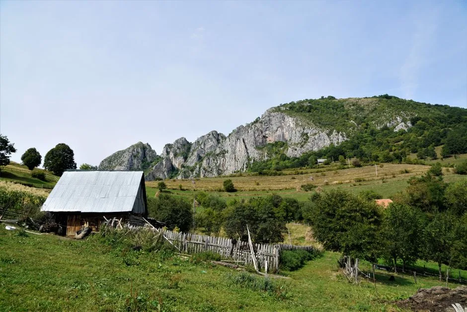 Plecarea românilor în străinătate: Răspunsuri simple la întrebări complexe