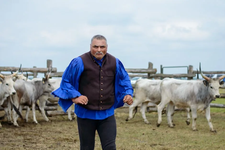 Taurul primește vești neașteptate pe 15 septembrie, iar Fecioara își consolidează relațiile interumane