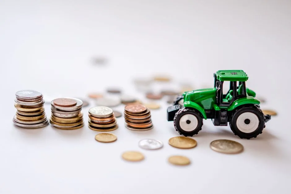 Sprijin financiar pentru fermierii afectați de secetă: 63 de euro pe hectar
