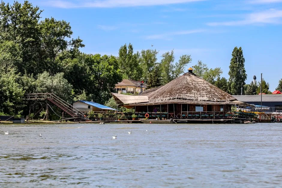 Insula Lacul Morii: O nouă destinație de relaxare în inima Bucureștiului