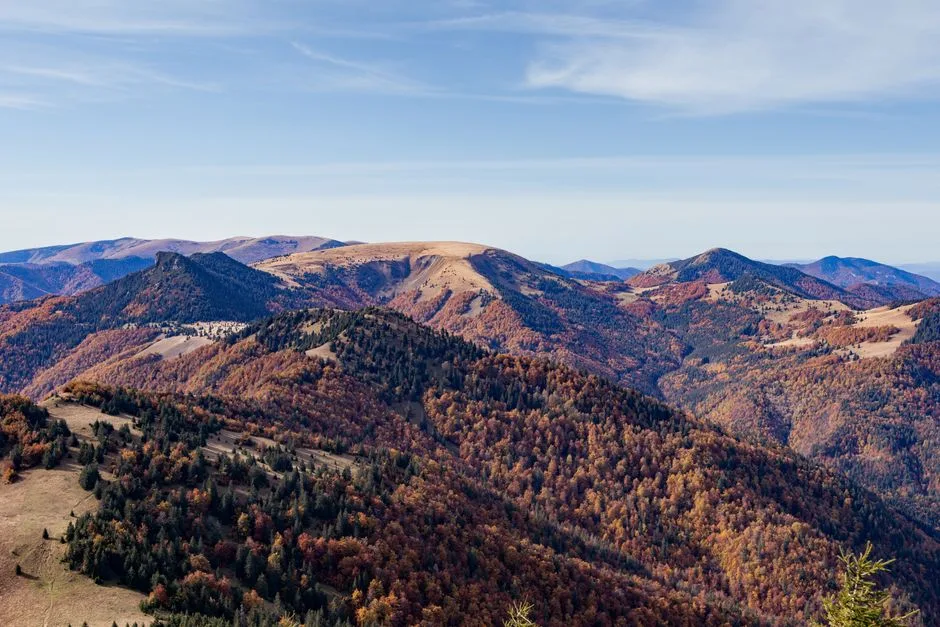 Summit-ul „Carpathian 8”: Nicușor Dan și Zelenski deschid drumul cooperării regionale