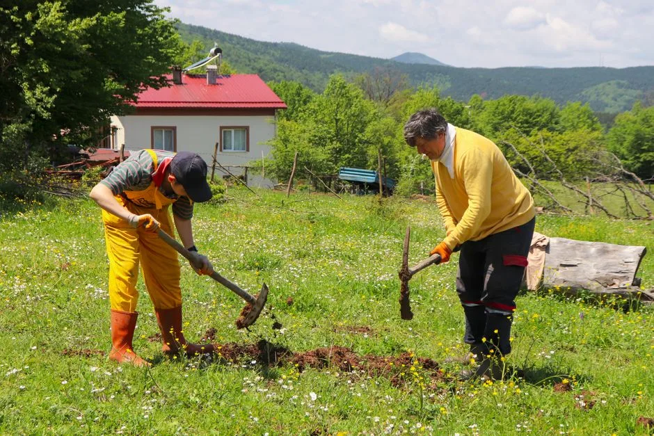 Zelenski facilitează negocierile Ucrainei pentru aderarea la UE printr-o nouă lege solicitată de Ungaria
