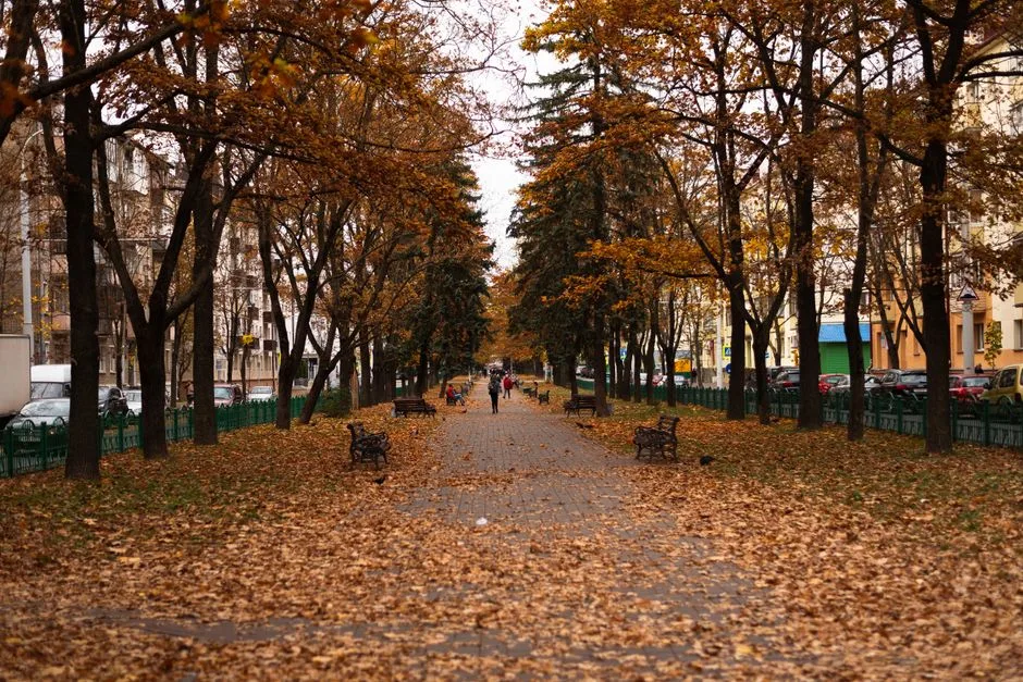 O toamnă capricioasă: Vremea se răcește și aduce ploi în Argeș
