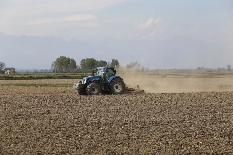 Plățile pentru subvențiile agricole în Argeș: noutăți despre ajutoarele naționale tranzitorii