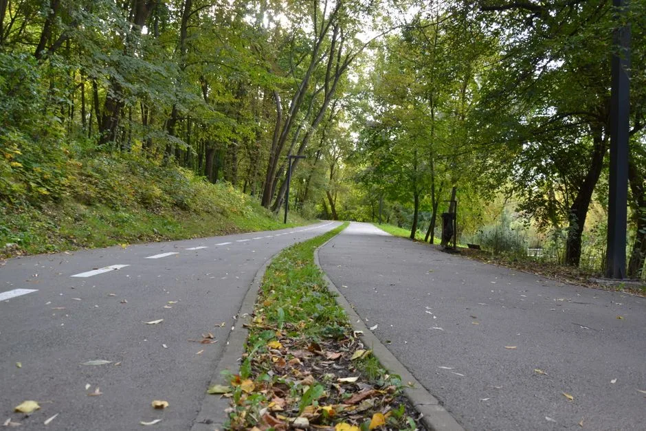 Zelenski deschide drumul către pace: noi propuneri de negociere pentru Ucraina