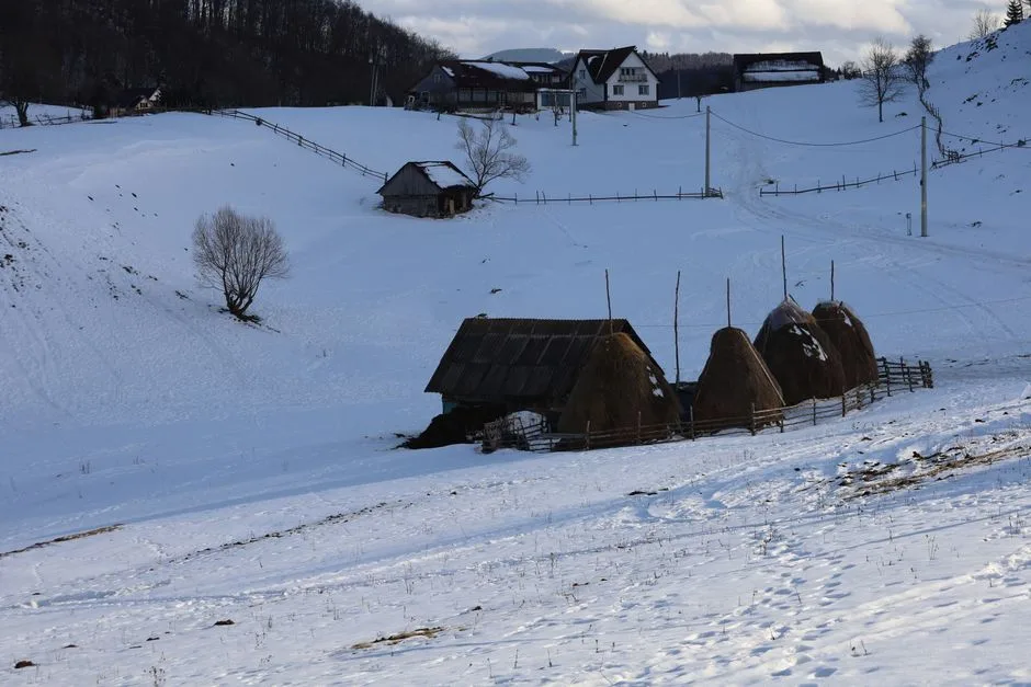 Iarna a sosit mai devreme în România: Ninsori abundente și zăpadă de până la 25 de centimetri